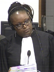 Co-Defense Counsel Anta Guissé