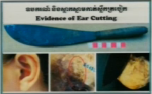 12-14-16-ear-cutting